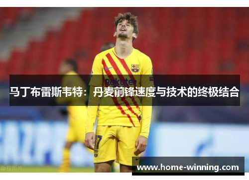 马丁布雷斯韦特：丹麦前锋速度与技术的终极结合