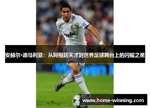 安赫尔·迪马利亚：从阿根廷天才到世界足球舞台上的闪耀之星