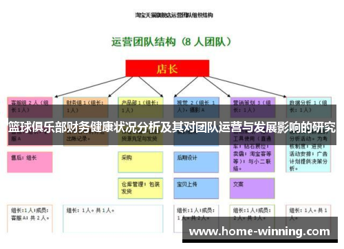 篮球俱乐部财务健康状况分析及其对团队运营与发展影响的研究
