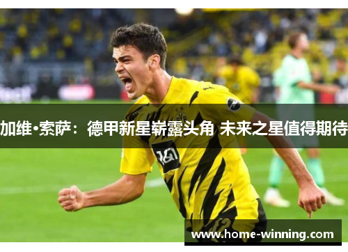 加维·索萨：德甲新星崭露头角 未来之星值得期待
