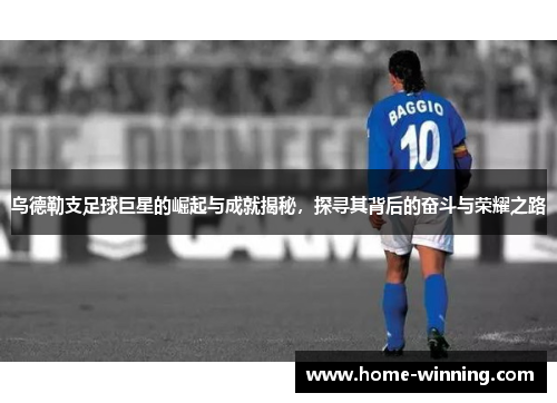 乌德勒支足球巨星的崛起与成就揭秘，探寻其背后的奋斗与荣耀之路