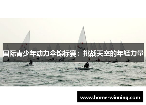 国际青少年动力伞锦标赛：挑战天空的年轻力量
