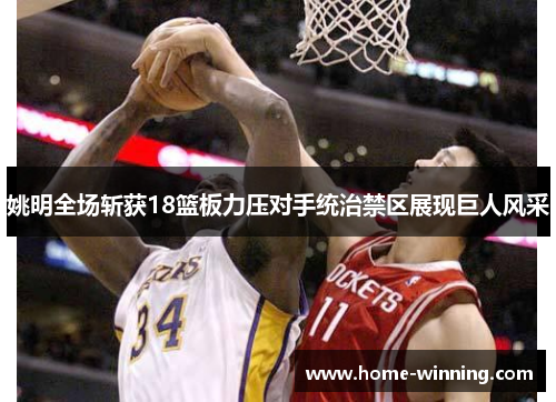 姚明全场斩获18篮板力压对手统治禁区展现巨人风采