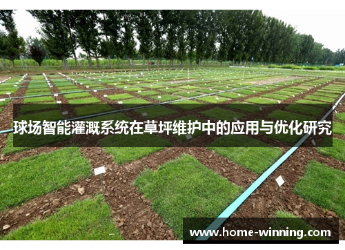 球场智能灌溉系统在草坪维护中的应用与优化研究