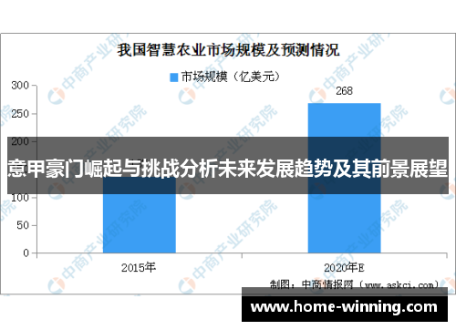 意甲豪门崛起与挑战分析未来发展趋势及其前景展望