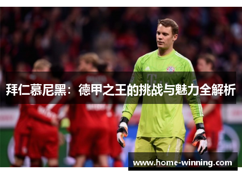 拜仁慕尼黑：德甲之王的挑战与魅力全解析