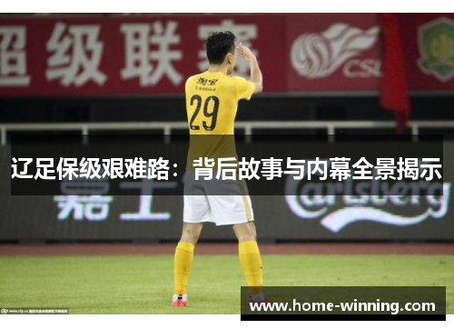 辽足保级艰难路：背后故事与内幕全景揭示