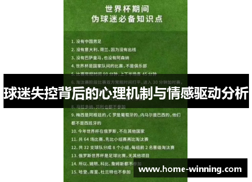 球迷失控背后的心理机制与情感驱动分析