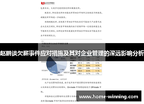 赵鹏谈欠薪事件应对措施及其对企业管理的深远影响分析