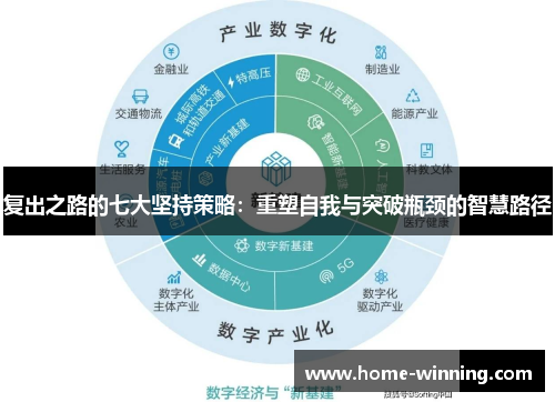 复出之路的七大坚持策略：重塑自我与突破瓶颈的智慧路径