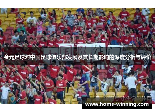 金元足球对中国足球俱乐部发展及其长期影响的深度分析与评价