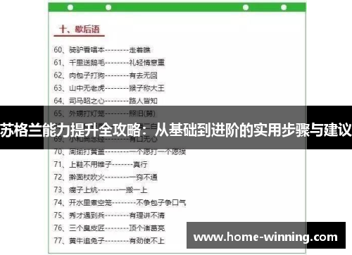 苏格兰能力提升全攻略：从基础到进阶的实用步骤与建议